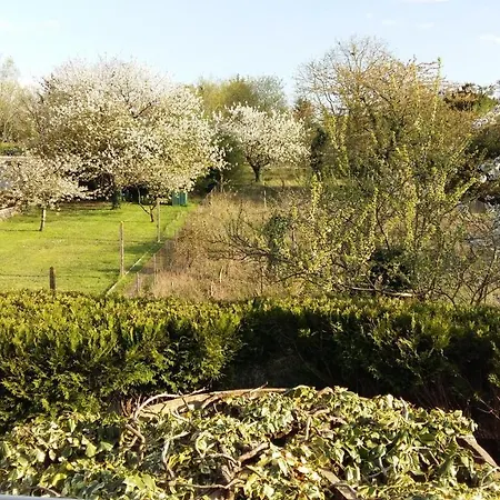 Authentique Gite 1950 Poitiers Futuroscope Aquascope, 1A9Prsn, 3 Pkg, 3 Etoiles A 6Prsn Et 3 Appoints Eco-Responsable *