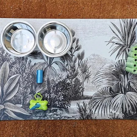 Authentique Gite 1950 Poitiers Futuroscope Aquascope, 1A9Prsn, 3 Pkg, 3 Etoiles A 6Prsn Et 3 Appoints Eco-Responsable Holiday home Poitiers