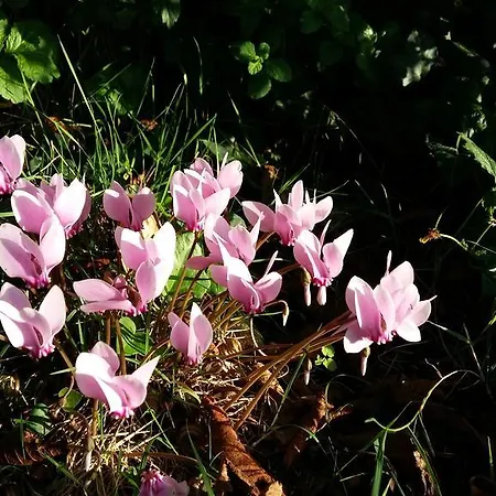 Authentique Gite 1950 Poitiers Futuroscope Aquascope, 1A9Prsn, 3 Pkg, 3 Etoiles A 6Prsn Et 3 Appoints Eco-Responsable Holiday home Poitiers