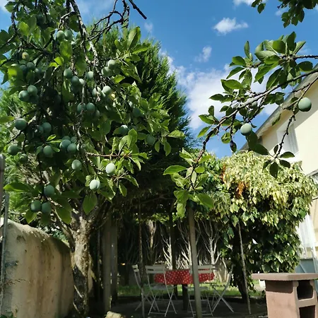 Authentique Gite 1950 Poitiers Futuroscope Aquascope, 1A9Prsn, 3 Pkg, 3 Etoiles A 6Prsn Et 3 Appoints Eco-Responsable * Poitiers