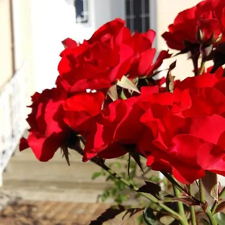 Authentique Gite 1950 Poitiers Futuroscope Aquascope, 1A9Prsn, 3 Pkg, 3 Etoiles A 6Prsn Et 3 Appoints Eco-Responsable Holiday home