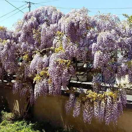 Authentique Gite 1950 Poitiers Futuroscope Aquascope, 1A9Prsn, 3 Pkg, 3 Etoiles A 6Prsn Et 3 Appoints Eco-Responsable * Poitiers