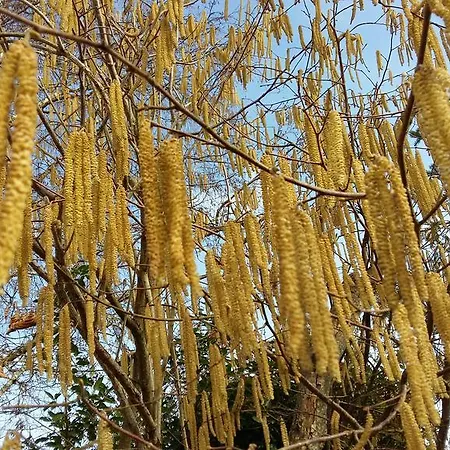 Authentique Gite 1950 Poitiers Futuroscope Aquascope, 1A9Prsn, 3 Pkg, 3 Etoiles A 6Prsn Et 3 Appoints Eco-Responsable * Poitiers