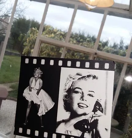 Authentique Gite 1950 Poitiers Futuroscope Aquascope, 1A9Prsn, 3 Pkg, 3 Etoiles A 6Prsn Et 3 Appoints Eco-Responsable * Poitiers