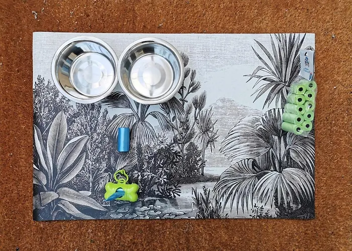 Authentique Gite 1950 Poitiers Futuroscope Aquascope, 1A9Prsn, 3 Pkg, 3 Etoiles A 6Prsn Et 3 Appoints Eco-Responsable Holiday home Poitiers