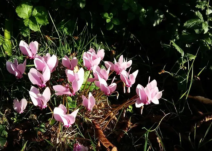 Authentique Gite 1950 Poitiers Futuroscope Aquascope, 1A9Prsn, 3 Pkg, 3 Etoiles A 6Prsn Et 3 Appoints Eco-Responsable Holiday home Poitiers