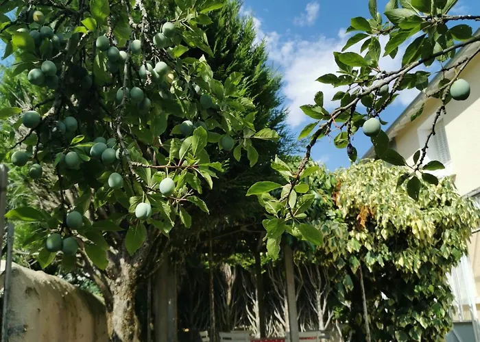 Authentique Gite 1950 Poitiers Futuroscope Aquascope, 1A9Prsn, 3 Pkg, 3 Etoiles A 6Prsn Et 3 Appoints Eco-Responsable * Poitiers