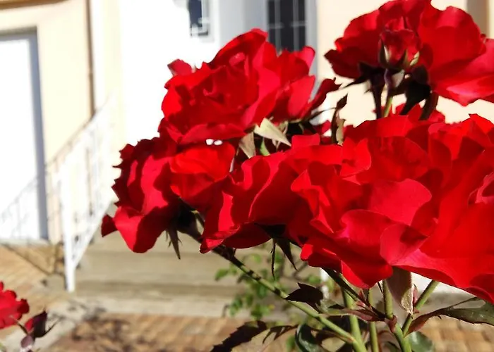 Authentique Gite 1950 Poitiers Futuroscope Aquascope, 1A9Prsn, 3 Pkg, 3 Etoiles A 6Prsn Et 3 Appoints Eco-Responsable Holiday home