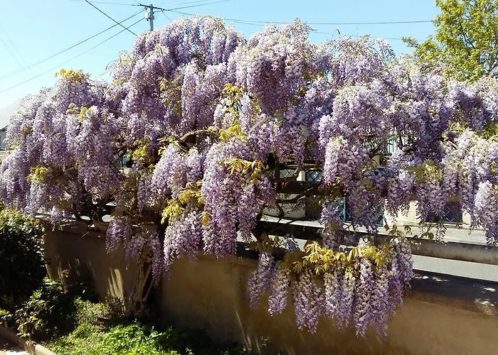 Authentique Gite 1950 Poitiers Futuroscope Aquascope, 1A9Prsn, 3 Pkg, 3 Etoiles A 6Prsn Et 3 Appoints Eco-Responsable * Poitiers