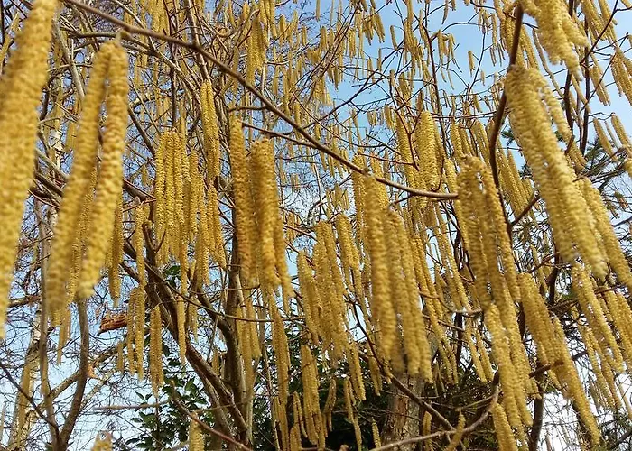 Authentique Gite 1950 Poitiers Futuroscope Aquascope, 1A9Prsn, 3 Pkg, 3 Etoiles A 6Prsn Et 3 Appoints Eco-Responsable * Poitiers